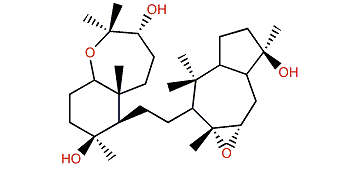 Sipholenol G